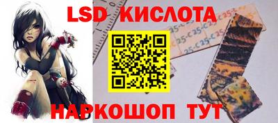 индика Аргун