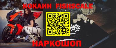 индика Аргун