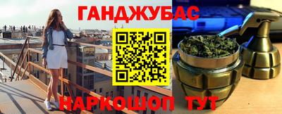 индика Аргун