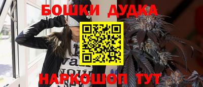 индика Аргун