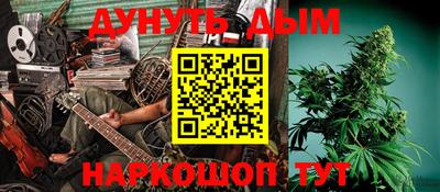индика Аргун