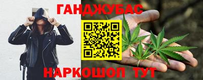 индика Аргун