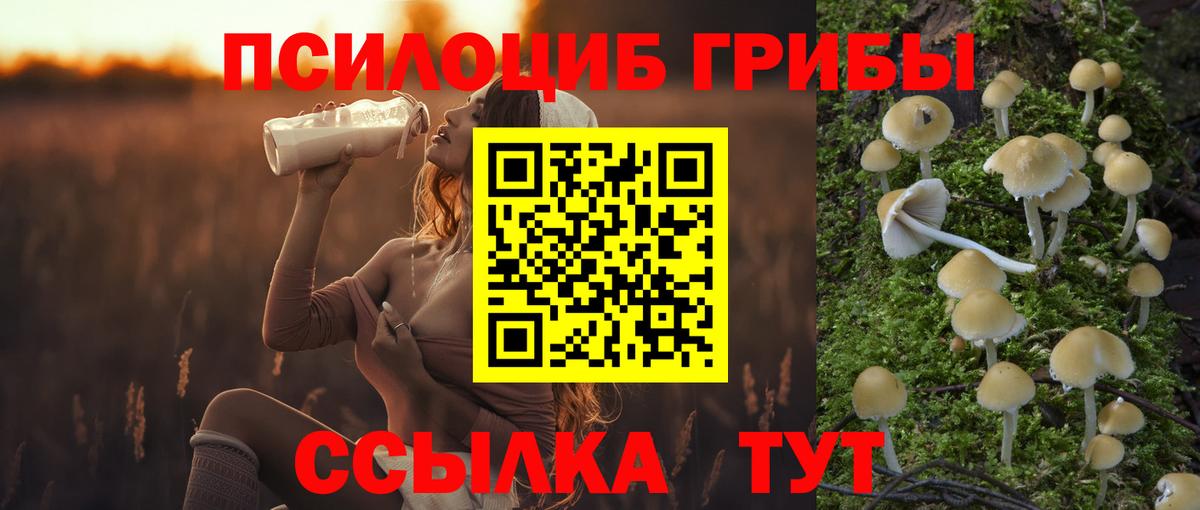 Псилоцибиновые грибы Psilocybine cubensis Асбест